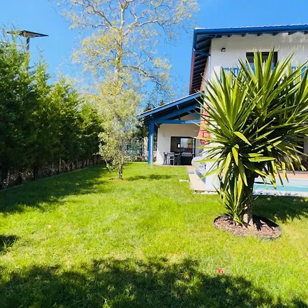 Luxueuse Contemporaine Avec Piscine A Deux Pas Des Plages De Biarritz * Bidart